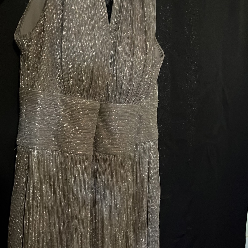 Dress worn at Fall wedding one time